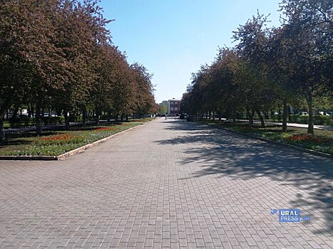 Наталья Котова обеспокоена судьбой цветов, засыхающих из-за недостатка влаги