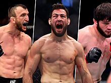 Расписание боёв по боксу и ММА, 29 января — 4 февраля, UFC Fight Night 235, Нассурдин Имавов, Муслим Салихов