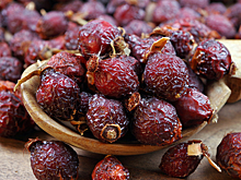 Учёные развенчали пользу шиповника при простуде