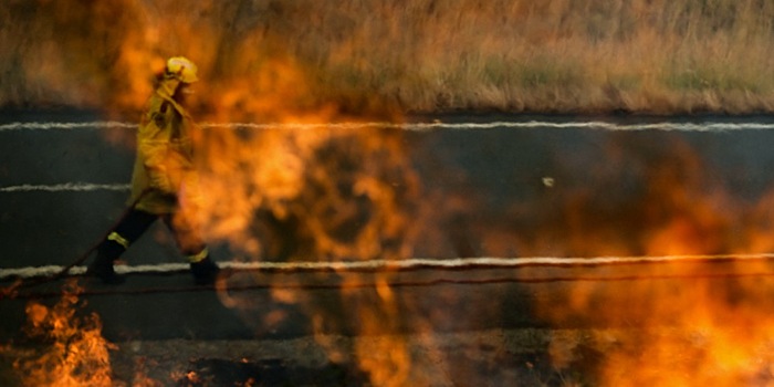 Из-за лесных пожаров в Новом Южном Уэльсе введено чрезвычайное положение
