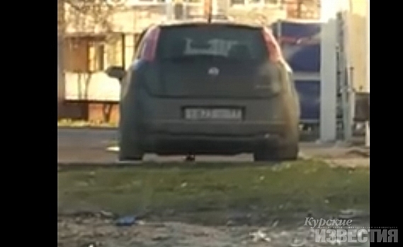 В Курске снова сняли на видео крыс, которые лезут в автомобиль