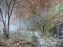 По всей России ожидаются сильные морозы до минус 51 градуса