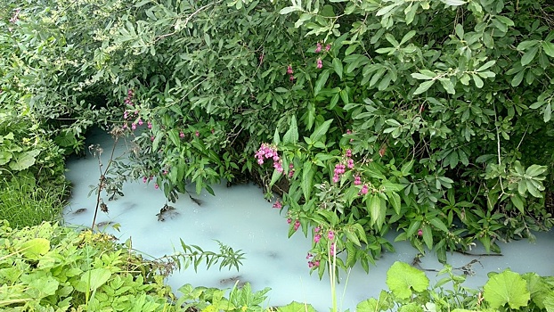 Специалисты Минэкологии определили место, где река Рахма начинает белеть