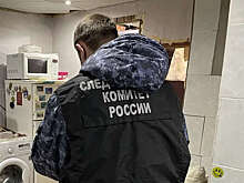 В Архангельской области подросток зарезал мать во сне и спрятал тело в погребе