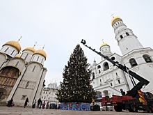 На Соборной площади Московского Кремля нарядили главную елку страны