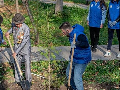 В Забайкалье появится «Сад памяти» в честь погибших в ВОВ