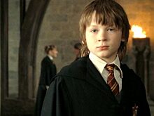 «Любовь родителей ценою в жизнь»: удивительные факты о Джеймсе Поттере