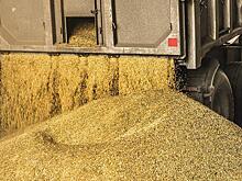 Казахстан сохранил запрет на ввоз российской пшеницы автотранспортом