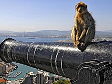 Британия выразит протест Испании из-за задержания судна у Гибралтара