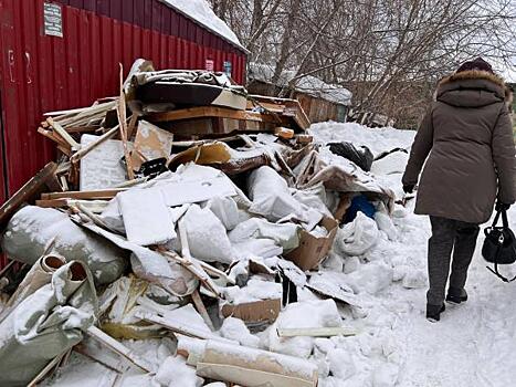 Эксперт о мусорном коллапсе в Новосибирске: «Проблему можно решить за 3 дня»