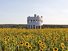 Не привязываясь к месту: участники "Архстояния" рассказывают, как жить