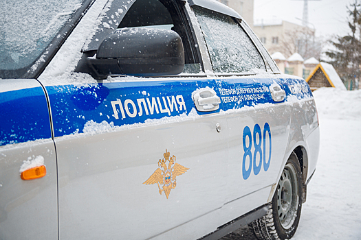 Школьник из Кузбасса помог задержать сбившего ребенка на зебре пьяного водителя