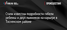 Стали известны подробности гибели ребенка и двух лыжников на карьере в Тосненском районе