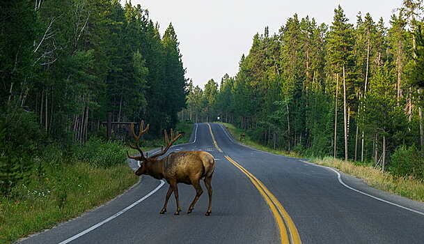 Водителей предупредили об опасности на дорогах