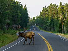 Водителей предупредили об опасности на дорогах