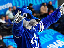 В Москве откроется спортивно-исторический музей "Динамо"