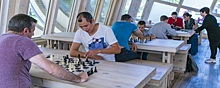 В Екатеринбурге установят крытые павильоны для игры в шахматы