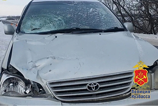 Иномарка задавила насмерть женщину на зебре в Кузбассе