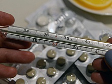 Более 7130 новых заболевших гриппом и ОРВИ зафиксировано в Мурманской области