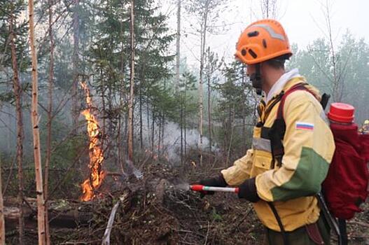 Режим ЧС ввели в двух поселках Якутии из-за лесных пожаров