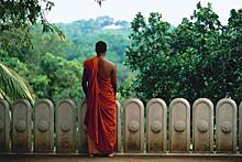 В минувшем году Шри-Ланку посетили 2,3 млн туристов