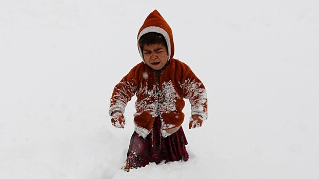 Талибы и "Исламское государство": союзники или враги?