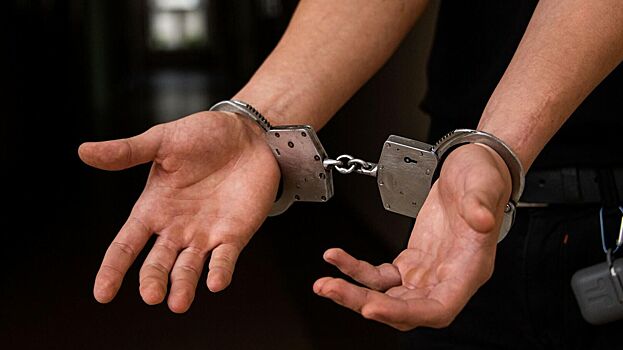 Обвиняемый в мошенничестве экс-адвокат Лялин пытался бежать из-под стражи