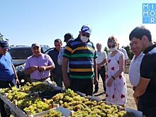 Власти Дагестана посетили передовые виноградарские предприятия республики