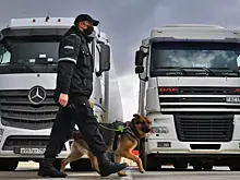 На границе России и Белоруссии станет меньше пробок