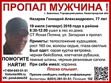 Поиски пропавшего Геннадия Назарова пройдут в Городецком районе 22 июля