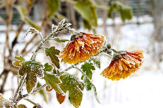 Резкое похолодание ожидается в Нижнем Новгороде