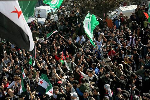 На Западе заявили о беспокойстве из-за свержения Асада