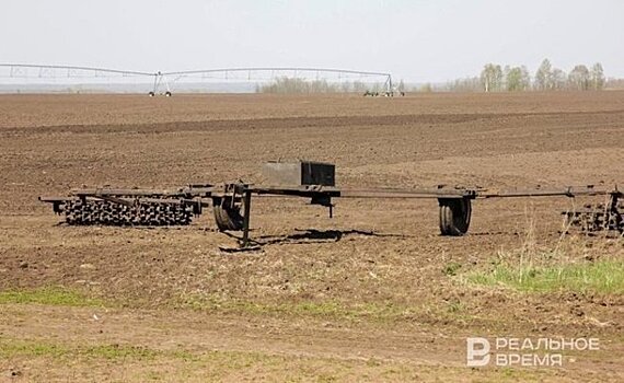 В Татарстане посеяно 550 тысяч гектаров озимых культур, что составляет 105% к плану