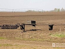 В Татарстане посеяно 550 тысяч гектаров озимых культур, что составляет 105% к плану