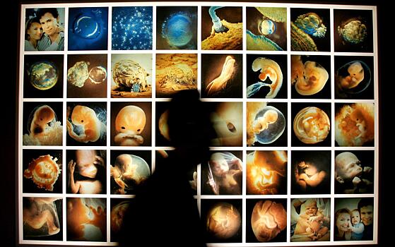 В доме гинеколога нашли тысячи эмбрионов