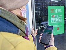 В кафе и магазинах Петербурга начнут требовать QR-коды