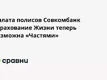 Оплата полисов Совкомбанк Страхование Жизни теперь возможна «Частями»
