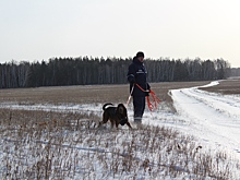 Пропавший в Златоусте 80-летний лыжник не найден