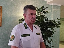 Татарстан станет пилотом по ведению лесного хозяйства по примеру Белоруссии, идет обмен опытом