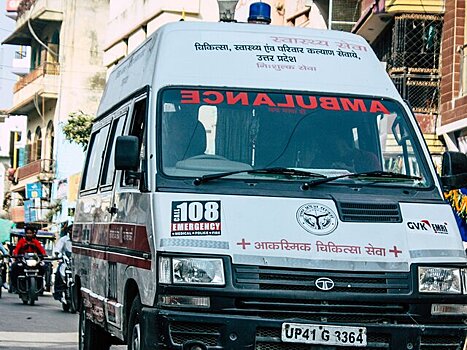 Times of India: неизвестный хищник растерзал 60-летнюю женщину в Индии