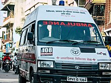 Times of India: неизвестный хищник растерзал 60-летнюю женщину в Индии