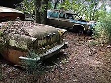 Самая большая в мире свалка автомобилей (видео)