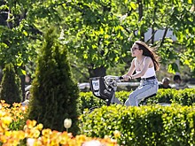 Климатолог оценил вероятность повторения аномальной жары 2010 года в России