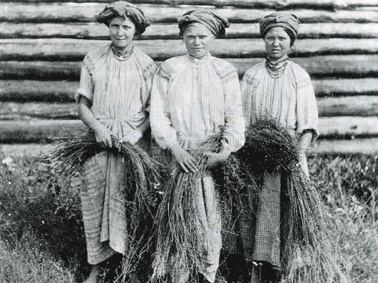 Крестьяне воронежской губернии 19 век. Крестьяне тульской губернии 19 век. Одежда крестьян орловской губернии. Крестьяне орловской губернии 19 века. Одежда крестьянок орловской губернии 19 века.