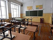 В НСН началась пресс-конференция о скандале вокруг школы «Горки»