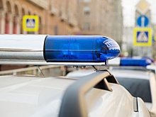 В Петербурге найден убитым таинственно пропавший курьер