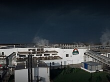 Время шампиньонов