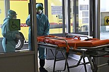 В России прокомментировали предупреждение ВОЗ о риске новой пандемии