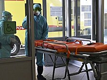 В России прокомментировали предупреждение ВОЗ о риске новой пандемии