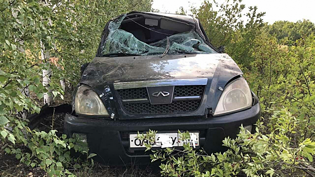 У села Лох погиб водитель перевернувшейся «Чери»